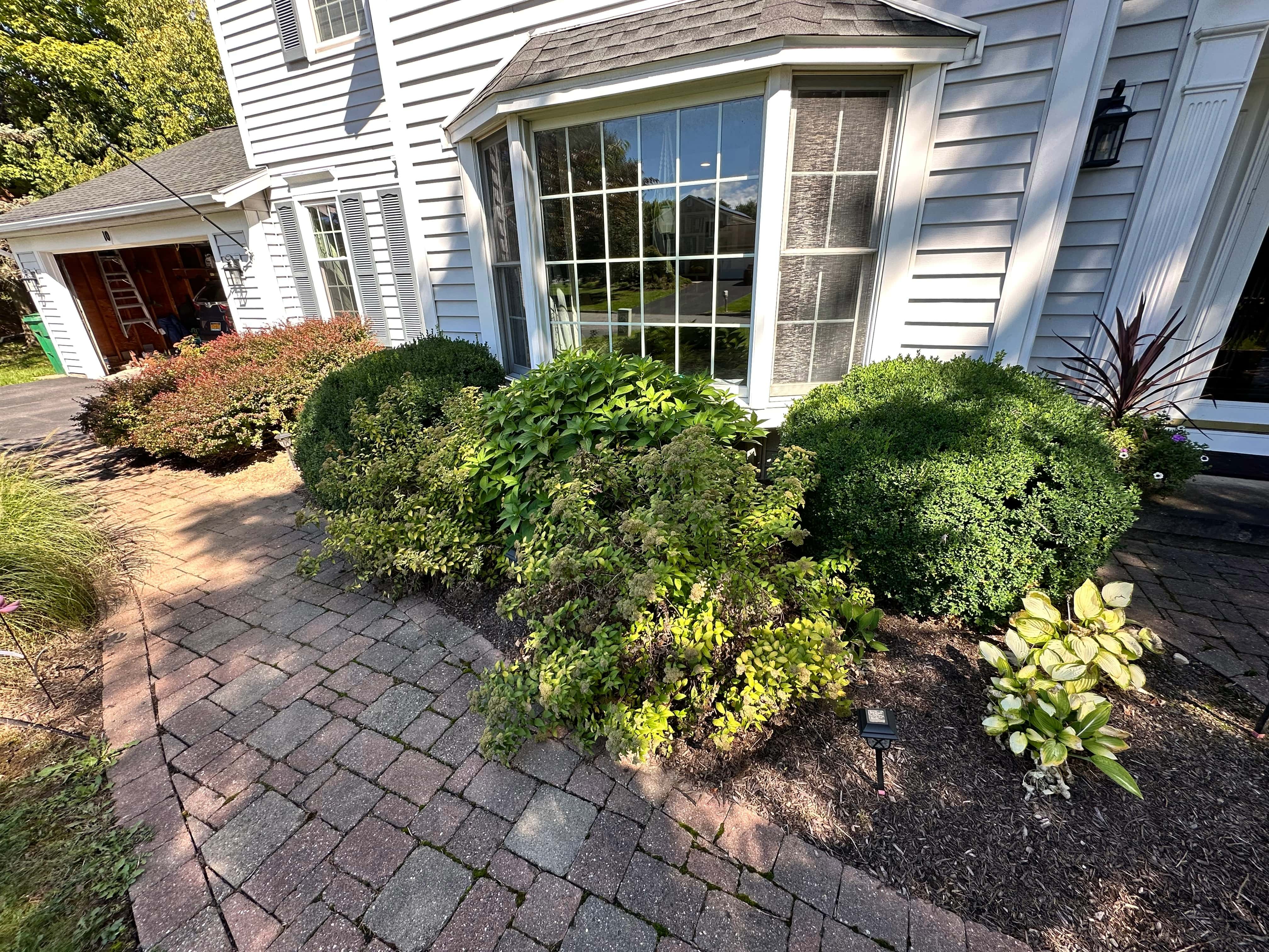 Landscape Project 2 - Before