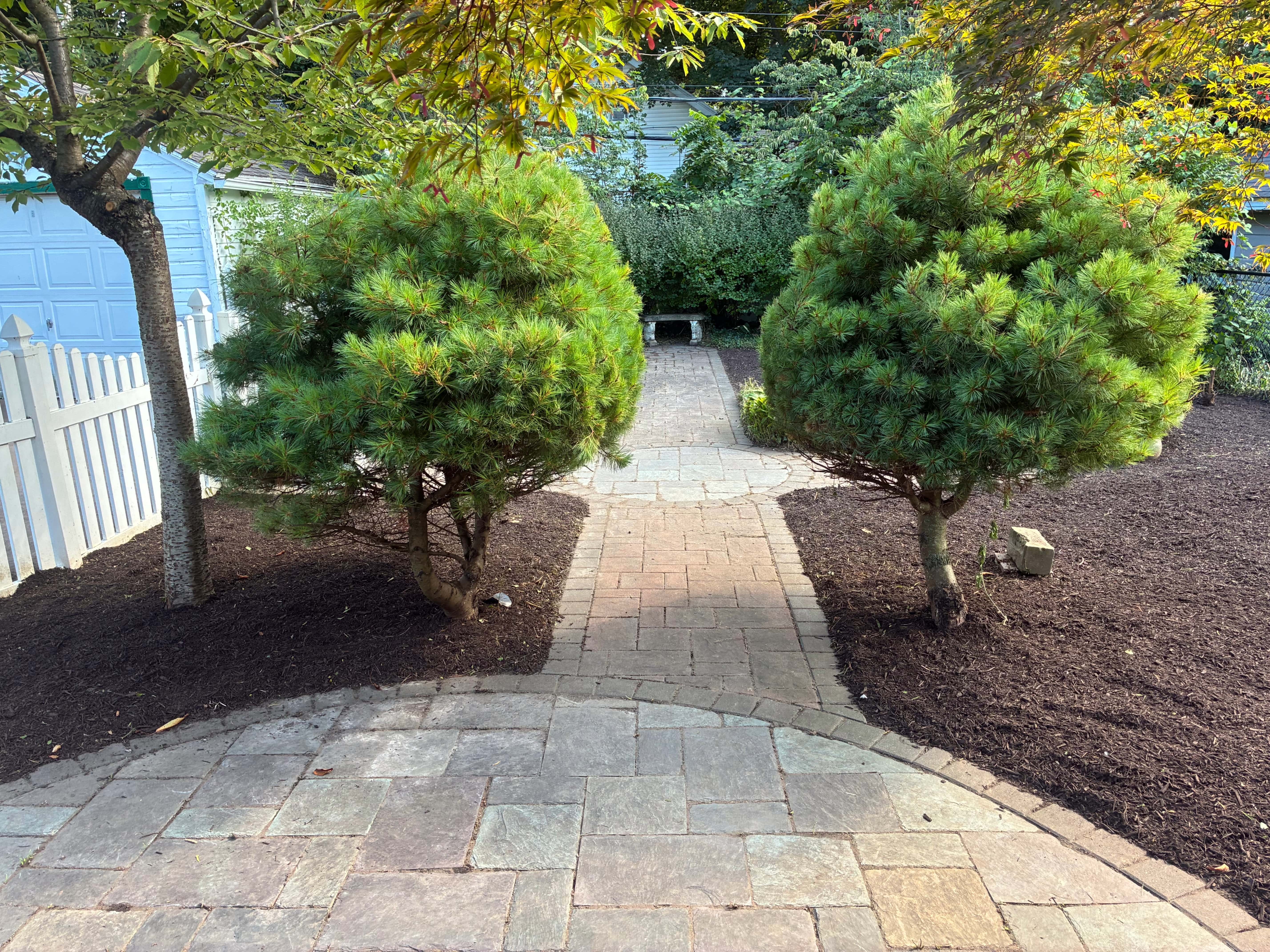 Landscape Project 3