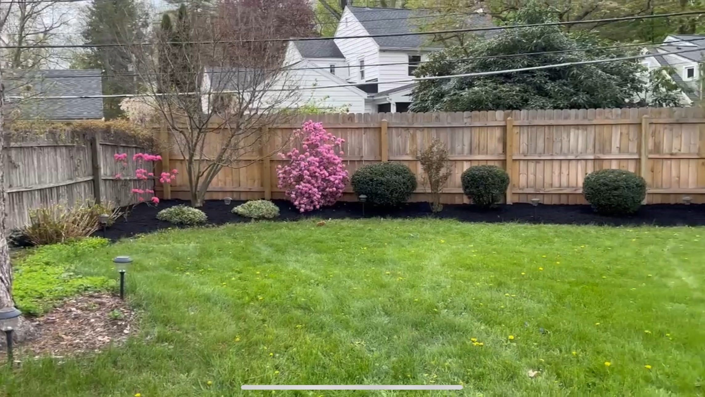Landscape Project 7
